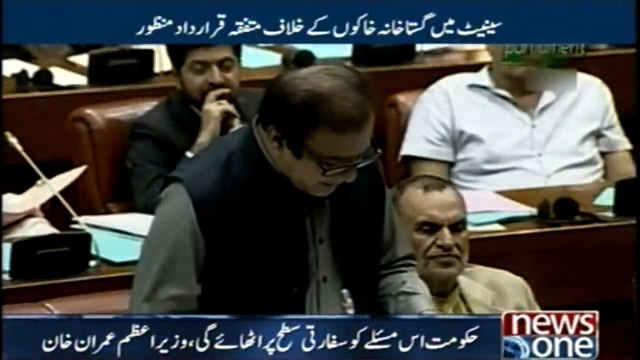 Caricatures against the resolution unanimously approved in the Netherlands