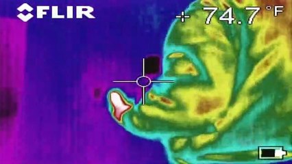 Ghost Hunters: International - S02E20 - Hamlet's Castle