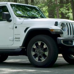 Jeep | Fourth of July