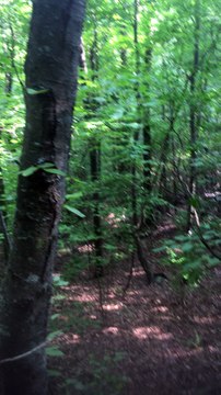 Brian Ghilliotti: Trip to Waramaug Rock: A lip of rock is all that holds up the larger cliff edge stone