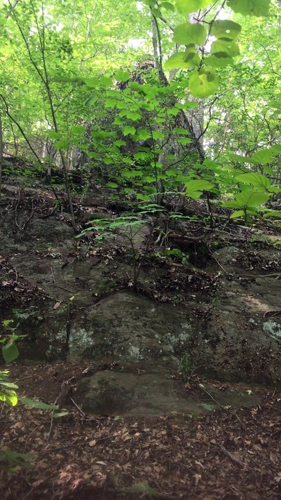 Brian Ghilliotti: View of larger cliff edge stone on the way to Waramaug Rock