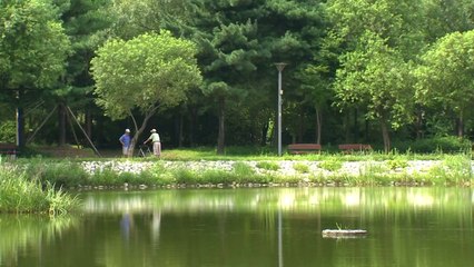 미세먼지 차단 숲 만들고 도서관 늘린다 / YTN