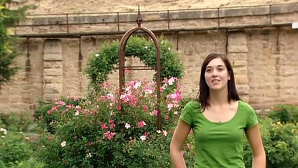 Ghost Stories - S01E02 - Boise Theater