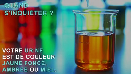 Urines : 3 signes d'alerter