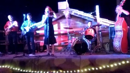 Sui & The Electroshocks - Pink Shoelaces (2018)