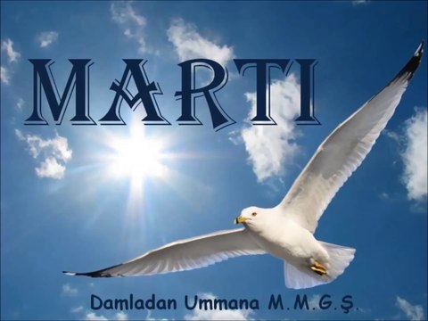 Martı Mustafa Murat Güngör Şiir Dinletisi
