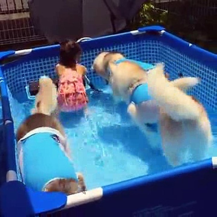 funny video Haha