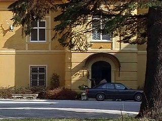 Rex A Cops Best Friend S01 E09