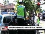 Pengendara Motor Tewas Tertimpa Pohon Tumbang