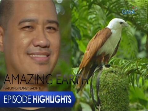 Amazing Earth: Zoo curator of live animals