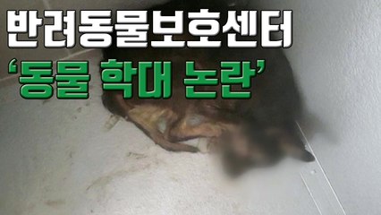 [자막뉴스] 반려동물보호센터 동물학대 논란..."유기견 냉동고에 넣어 폐사" / YTN