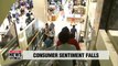 South Korea's consumer sentiment index hit record low since April 2017