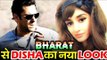 Salman की BHARAT में Disha Patani का होगा एक  अनोखा अंदाज़, जानिए पूरी कहानी