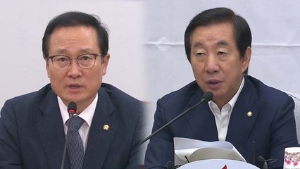 여야 소득 주도 성장 공방...靑 업무보고 / YTN