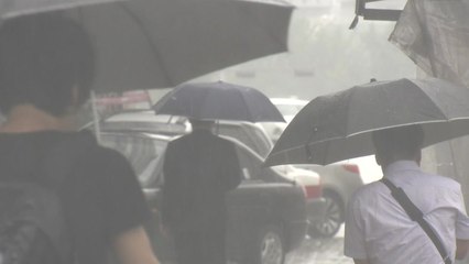 충청지역에 시간당 60㎜물 폭탄...침수 피해 잇따라 / YTN