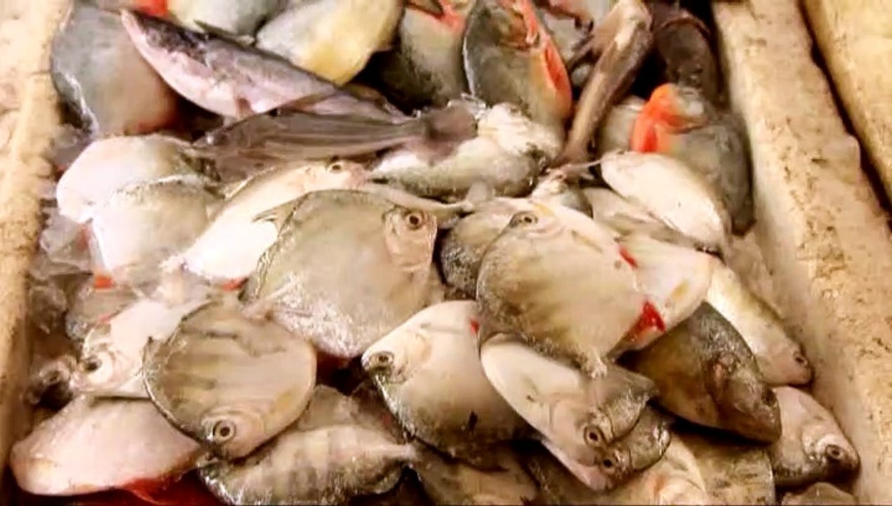 ITV River Monsters S06E03 Bone Crusher