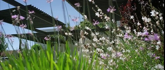 Angela Aguilar  - Tu Sangre en mi Cuerpo