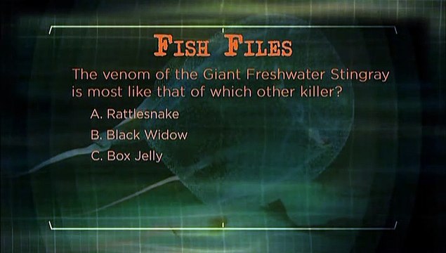 AnimalPlanet DVD River Monsters S02E00 Fish Files