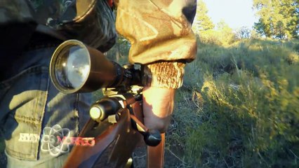 La Gargola De Puerto Rico ''Extraño caso''