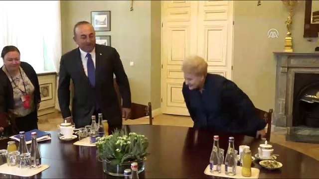 Dışişleri Bakanı Çavuşoğlu, Litvanya Cumhurbaşkanı Grybauskaite ile görüştü - VİLNİUS
