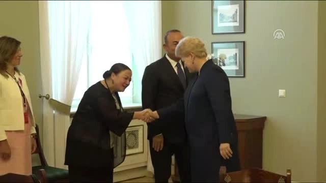 Dışişleri Bakanı Çavuşoğlu, Litvanya Cumhurbaşkanı Grybauskaite ile Görüştü
