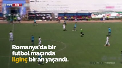 Teknik direktör futbolcuyu böyle yere düşürdü