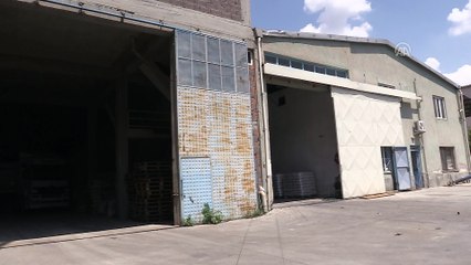 Sarı mercimek üretimi alarm veriyor - UŞAK