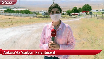 Ankara’da ‘şarbon’ karantinası!