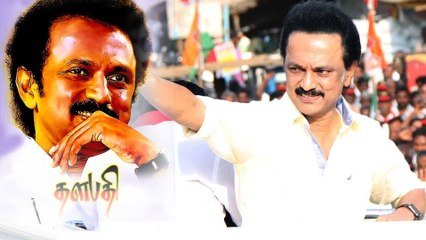 தலைவராக தேர்ந்தெடுக்கப்பட்ட ஸ்டாலின்- எதிர்பார்ப்புடன் உடன்பிறப்புகள்- வீடியோ