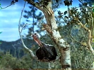Daniel Boone S02E10 The Thanksgiving Story (1965-1966)