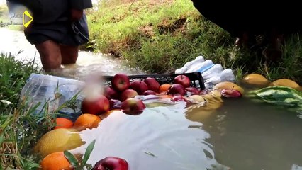 شواء الخروف على طريقة الهنود الحمر بمناسبة وصول قناة محمد الدرويش على اليوتيوب الى المليون