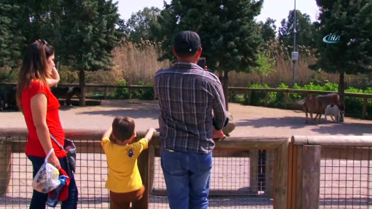 Doğal Yaşam Parkı, Kurban Bayramı’nda ziyaretçi rekoru kırdı