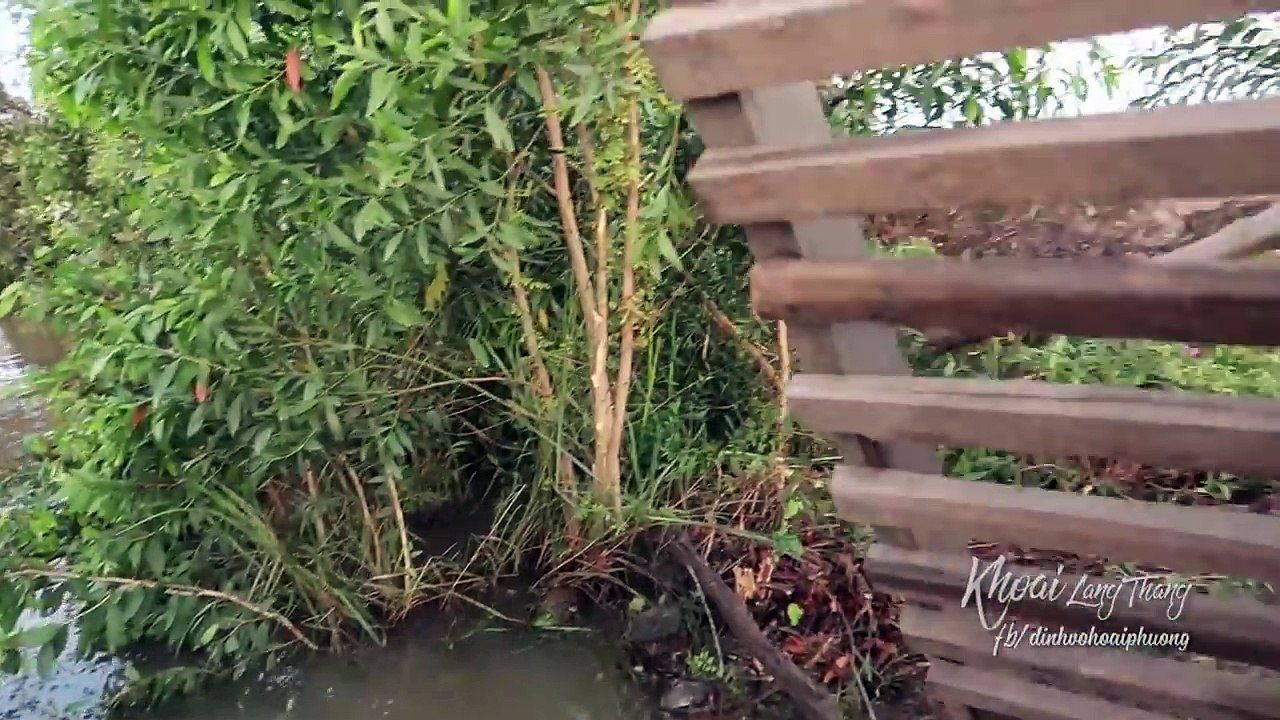 Ăn ĐẶC SẢN QUÝ HIẾM ở Miền Tây sông nước.