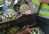 Seven Arrested as Spanish Police Seize Cocaine Hidden in Pineapples