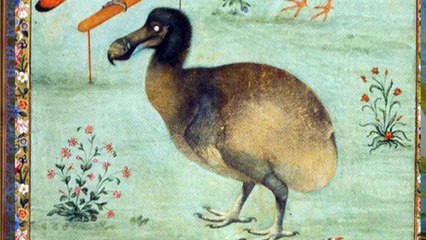 What can Stone Age art tell us about extinct animals