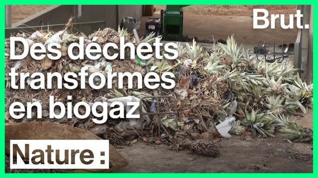 Cette fondation transforme plusieurs tonnes de déchets en biogaz