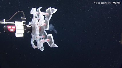 Un robot scientifique pour créatures délicates☮...