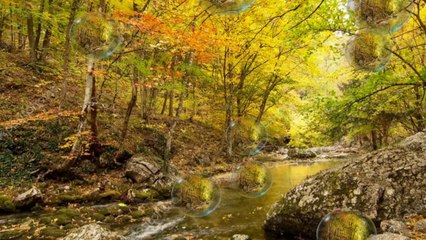 Rivière de l'Assomption en Automne