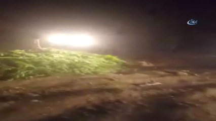 Operasyonda Ele Geçirilen 150 Adet Hint Keneviri Benzin Dökülerek Yakıldı