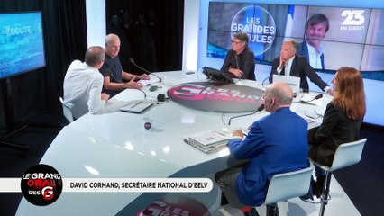 Le Grand Oral de David Cormand, secrétaire national d'EELV - 28/08