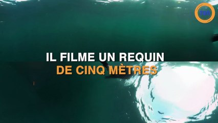 Il filme un requin de 5 mètres !
