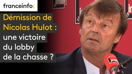 Démission de Nicolas Hulot : une victoire du lobby de la chasse ?