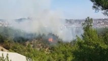 Çamlık Tabiat Parkı'nda Yangın