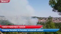 Çamlık Tabiat Parkı'nda yangın