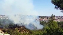 Çamlık Tabiat Parkı'nda yangın