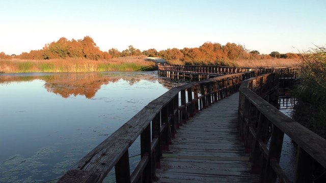 La media de los embalses está al 59,2% de su capacidad