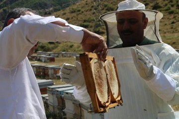 Siirtli Bal Üreticisi, 3 Bin TL'ye Çalıştıracak Eleman Bulamıyor!