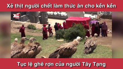 Xẻ thịt người chết làm thức ăn cho kền kền: tục lệ ghê rợn của người Tây Tạng