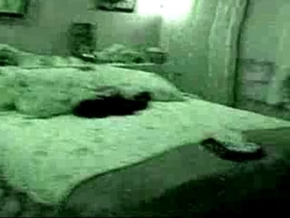 Tim from The Poughkeepsie Tapes