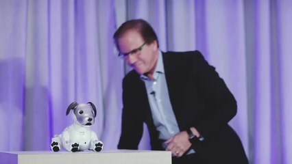 Sony’s adorable new Aibo comes to the US
